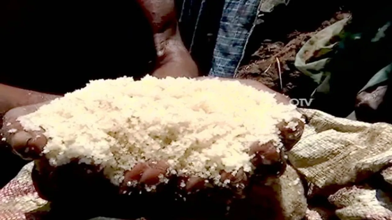 Admin gears up for revival of salt cluster in Balasore