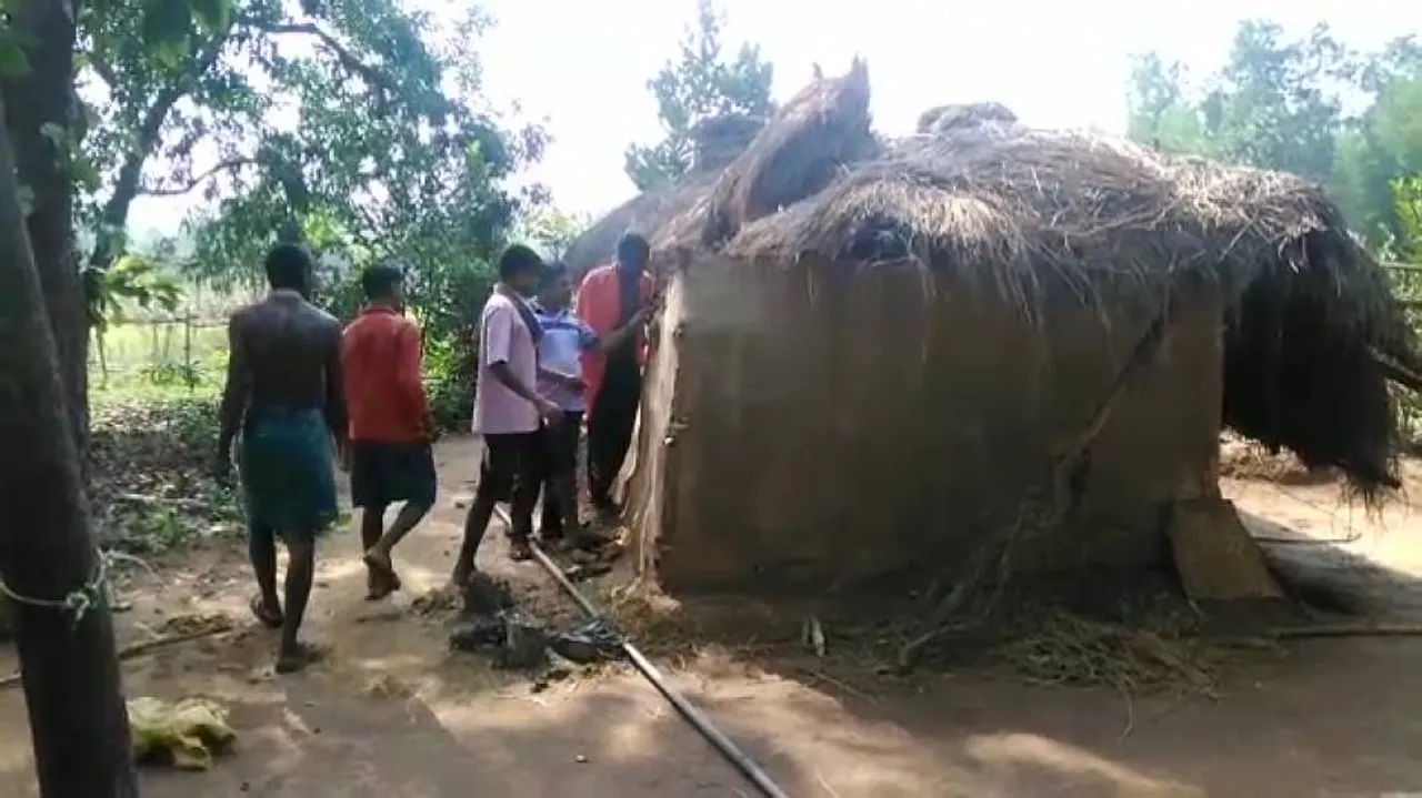 Elephants wreak havoc in Nilagiri, damage property 