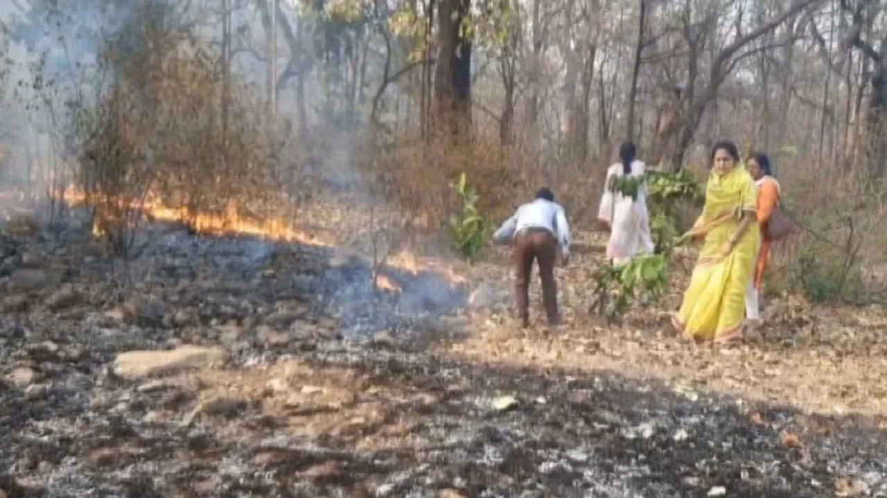 Royal Fighters: Mayurbhanj Queen, Princess Pitch In To Douse Similipal Wildfire; Watch Video