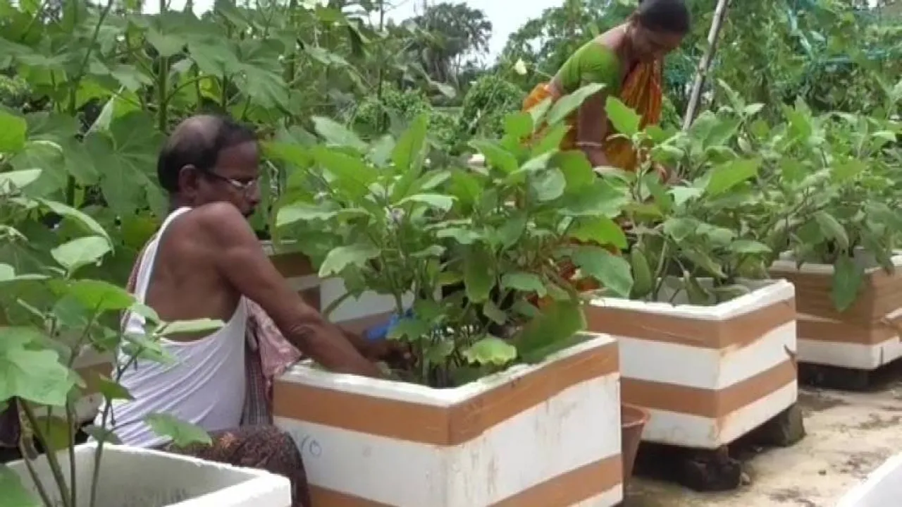 Odisha Man’s Rooftop Farming Redefining Urban Agriculture