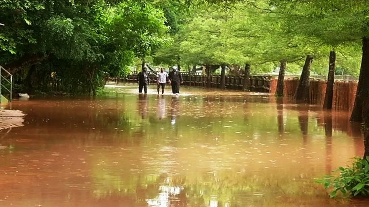 Safari & boating services discontinued as Nandankanan Zoo battles waterlogging