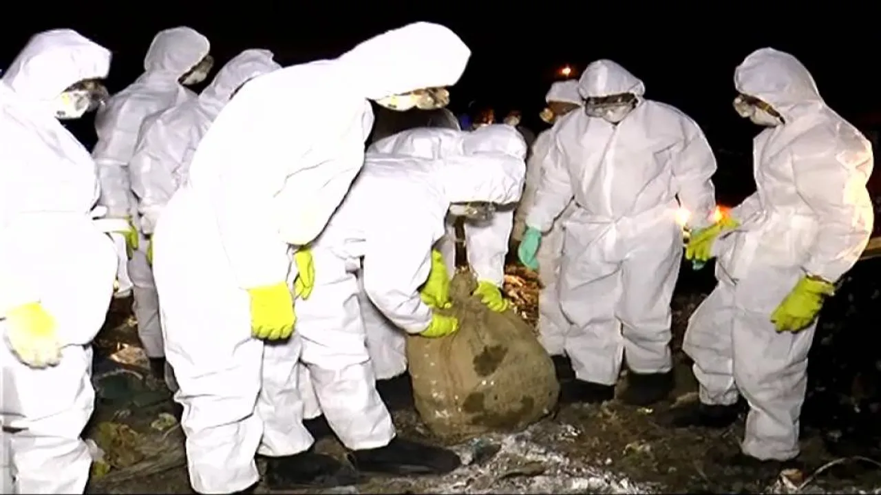 Avian flu: Central team takes stock of situation in Paradip