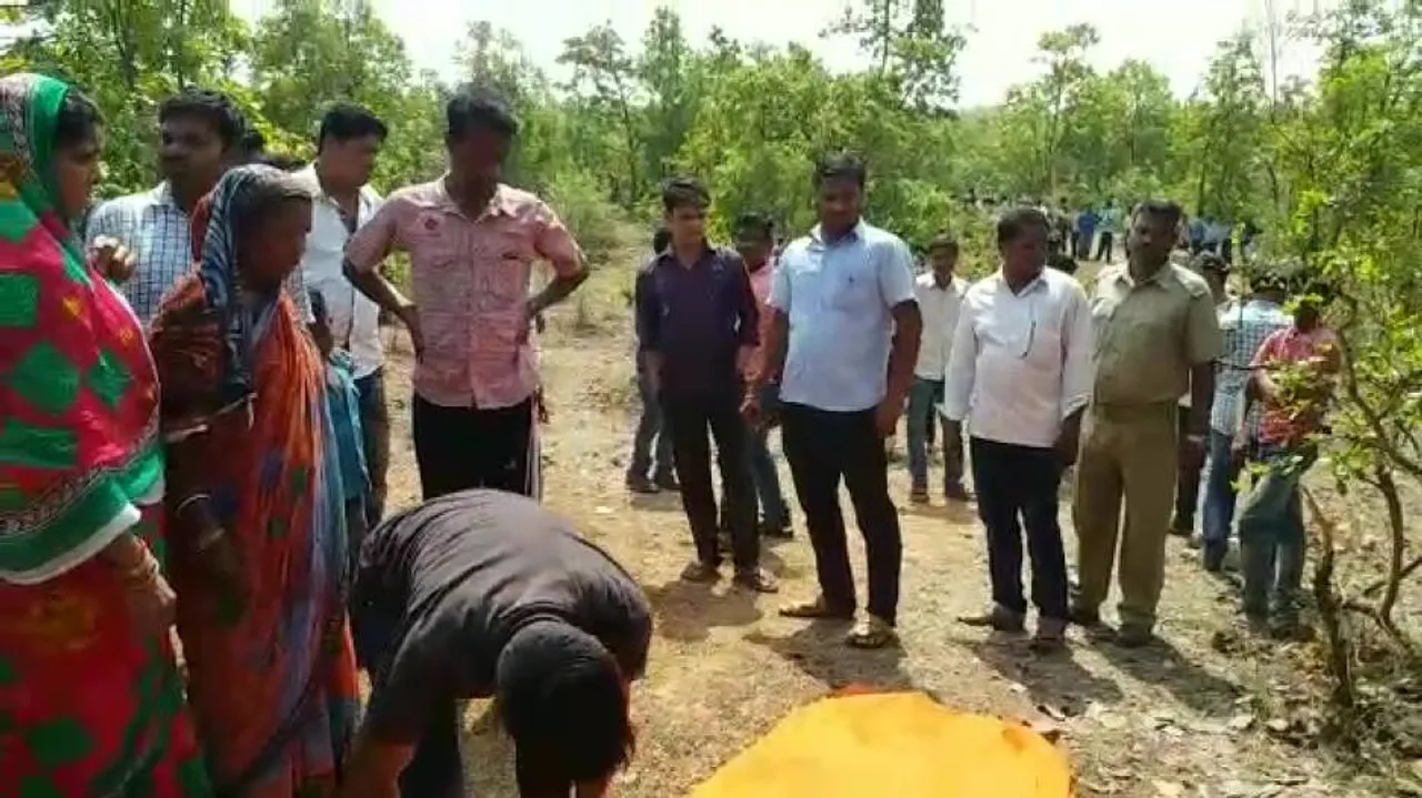Three killed in separate elephant attacks in Odisha