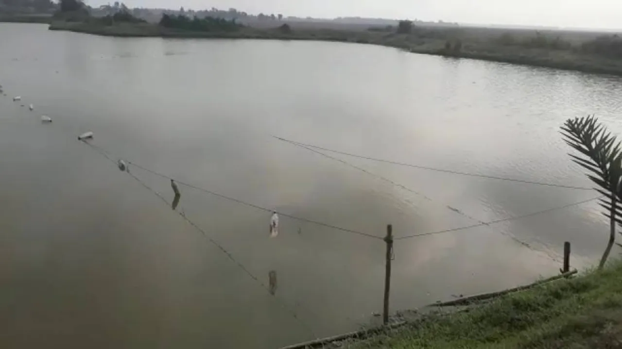 Two fishermen fatally electrocuted inside pond