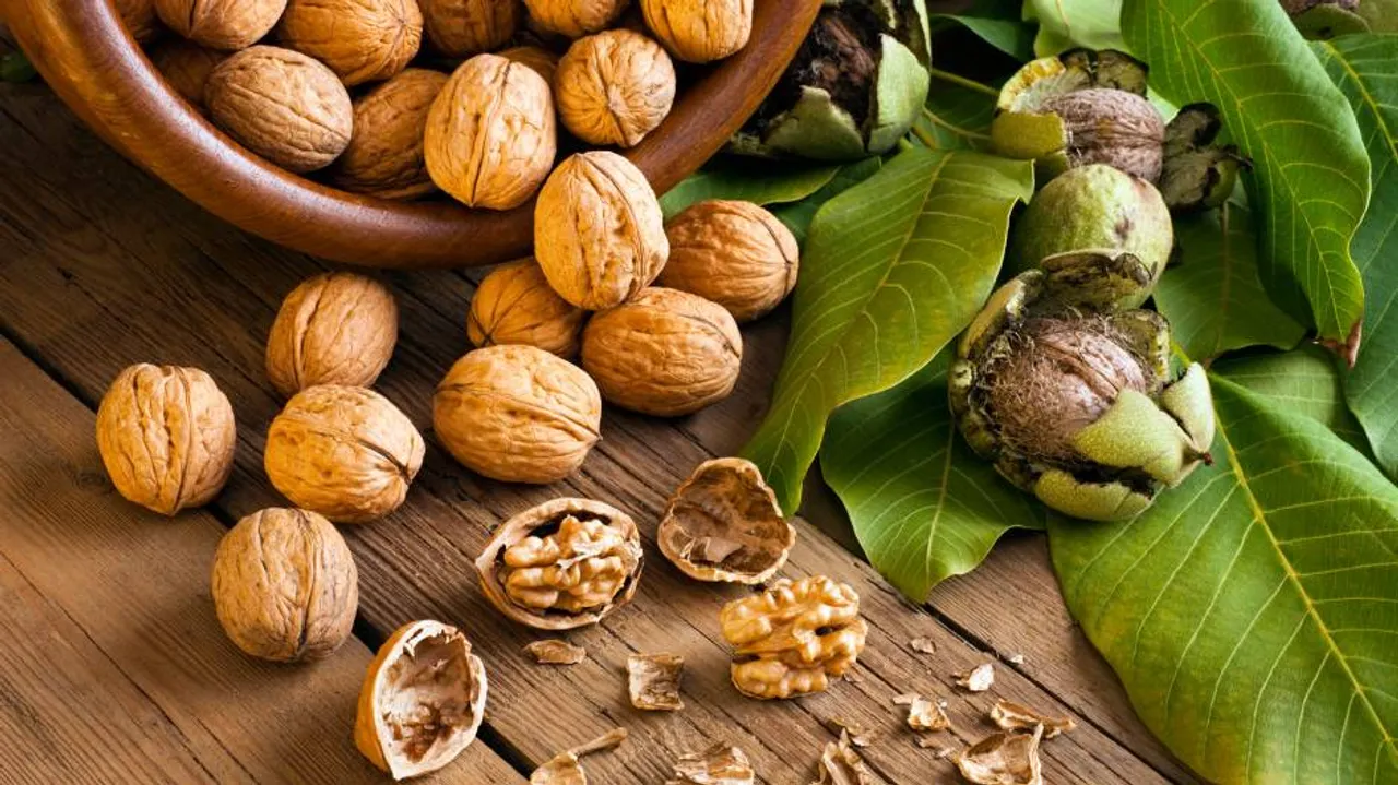 Eat Walnuts Daily For Better Gut, Heart Health