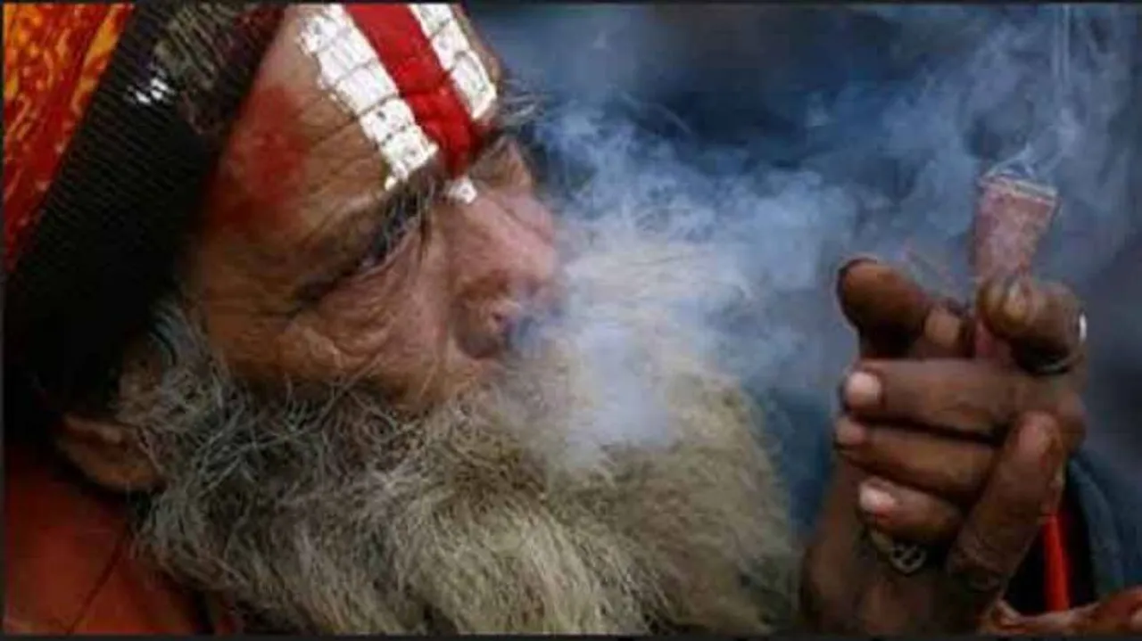 Op-Ed: Is It Time to Revisit The Ban on Marijuana?