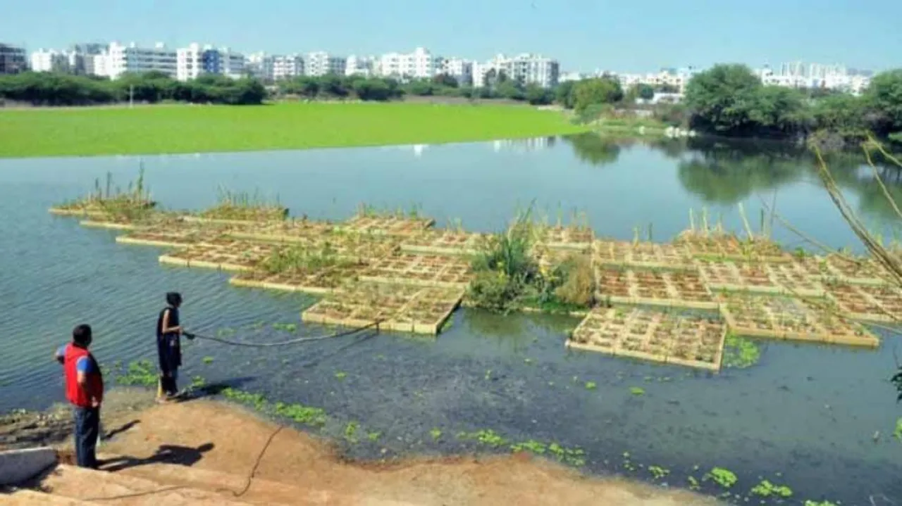 Op-Ed: Smaller Wetlands, Too, Need Attention