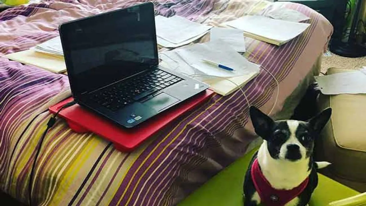Govt extends 'work from home' connectivity norms for IT, BPO firms till Jul 31