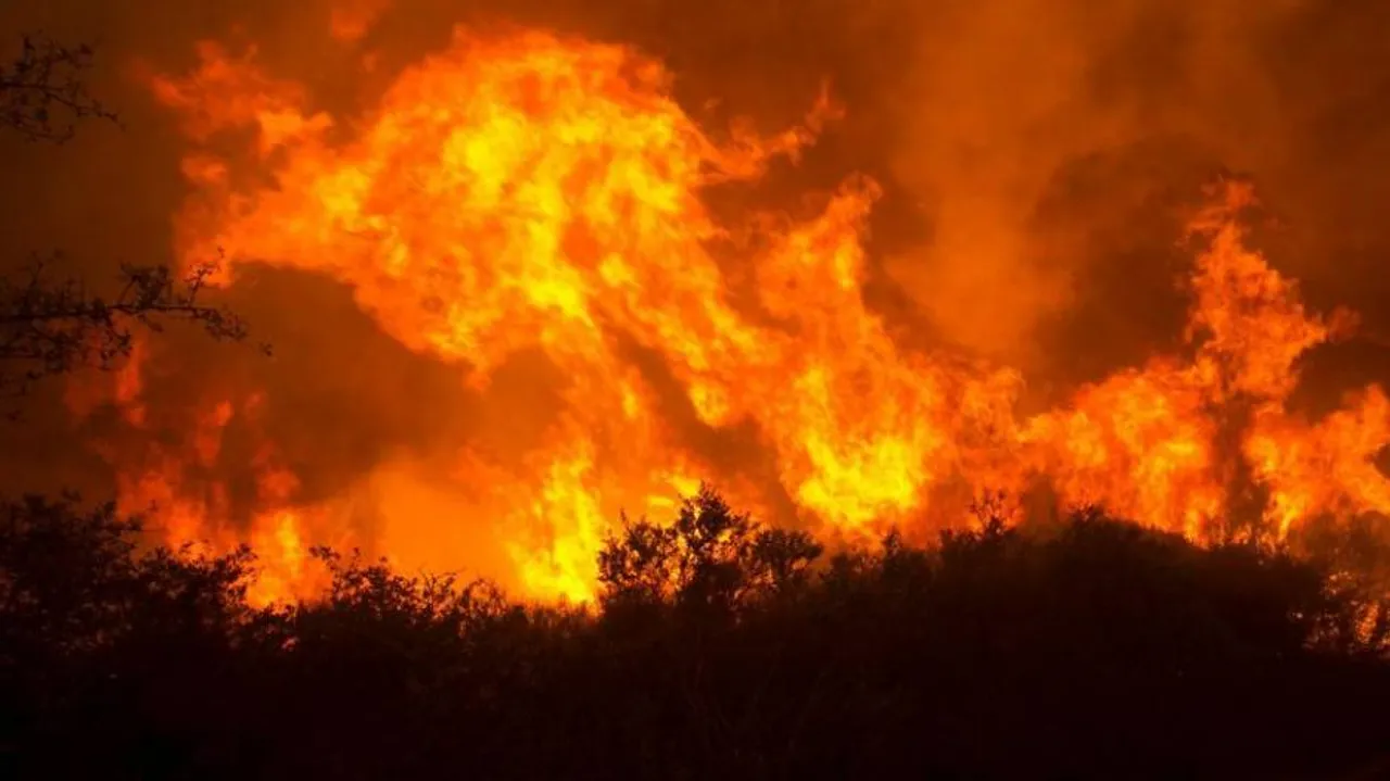 California wildfire kills 9, ravages celebrity homes