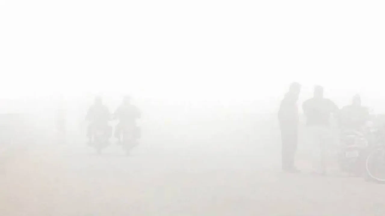 Odisha Winter Update: Dense Fog Alert For Several Districts Till January 6 (SEE PICS)