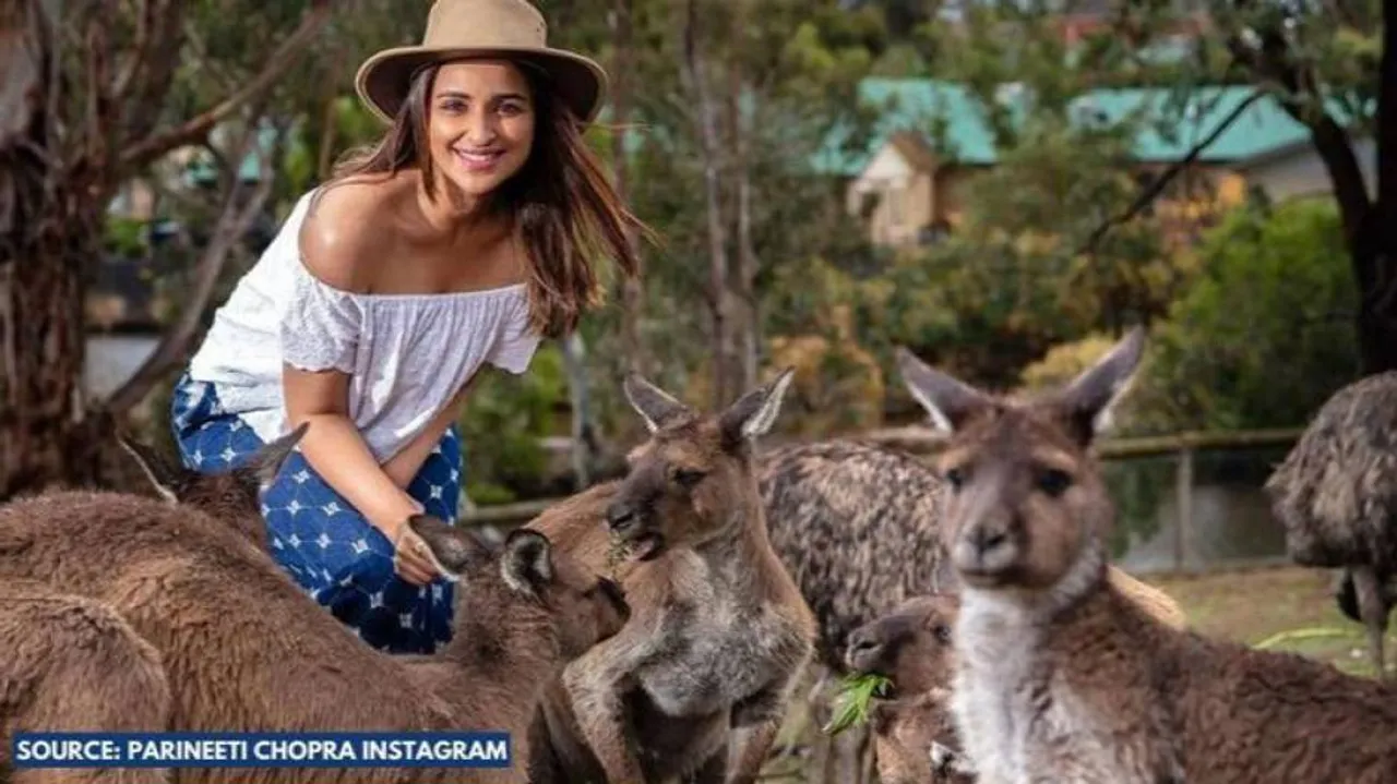 World Wildlife Day: From Parineeti Chopra, Dia Mirza to Pulkit Samrat, Bollywood Stars Who Love Spending Time With Wildlife