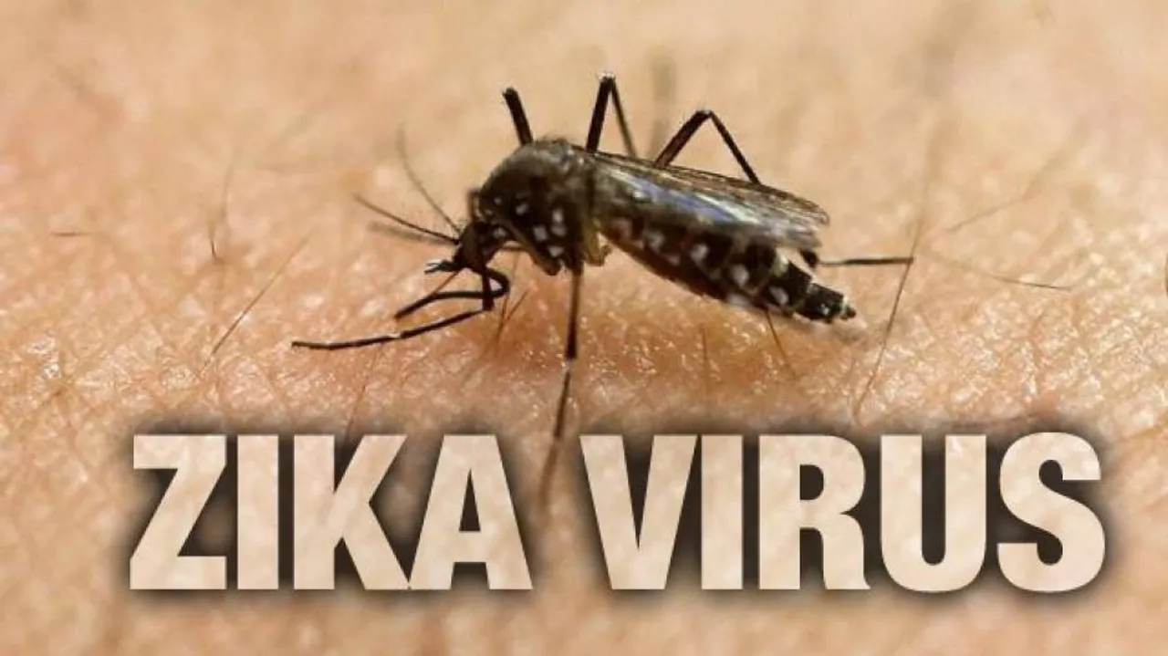 DNA-based Zika vaccine found effective in early human trial
