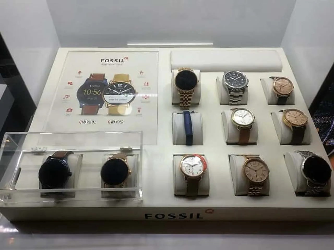 fossils