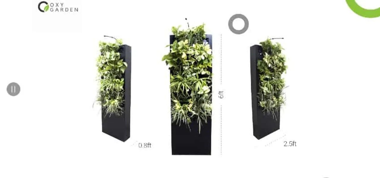 OxyGarden
