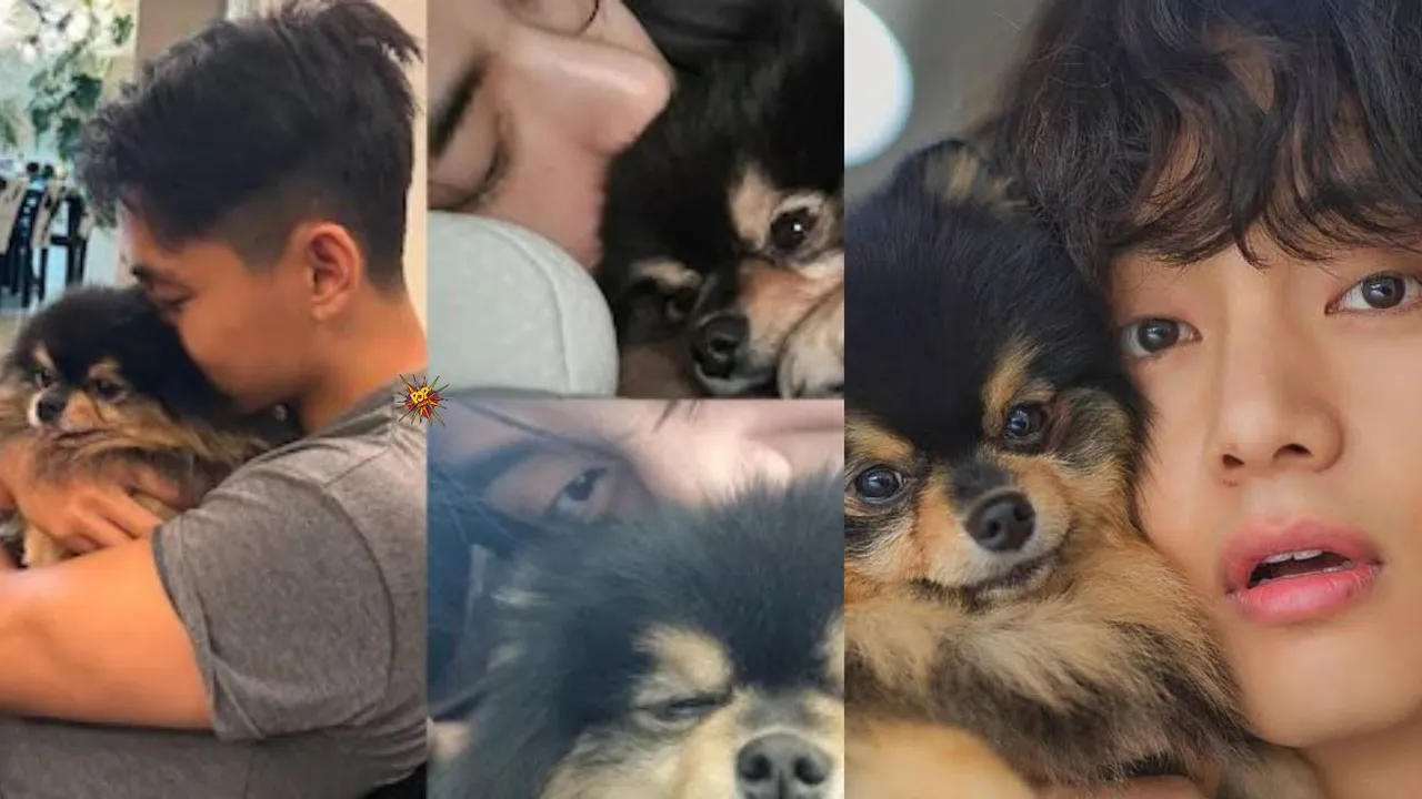 BTS V's Dog Dies, Singer Mourns the Loss with Heartfelt Note