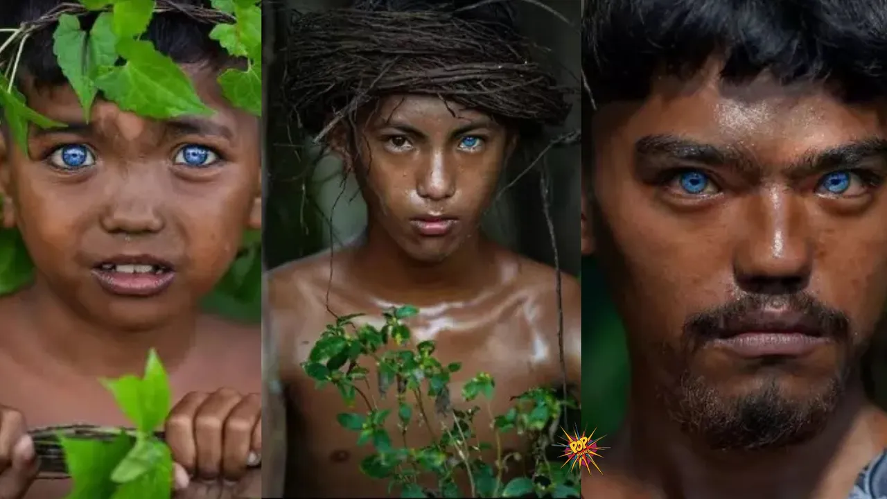The Buton Tribe's Electric Blue Eyes: A Rare Genetic Story