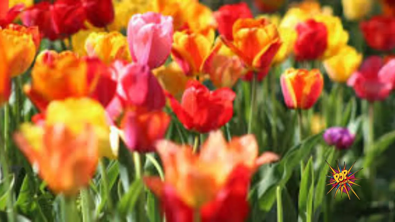 Blooming Monsoon: These 8 Beautiful Flowering Plants You Must Add to Your Garden