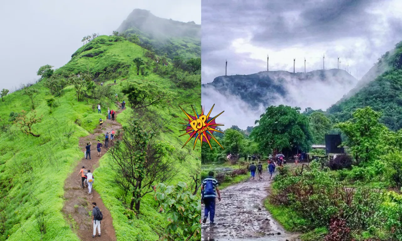 easy trekking spots near mumbai.png