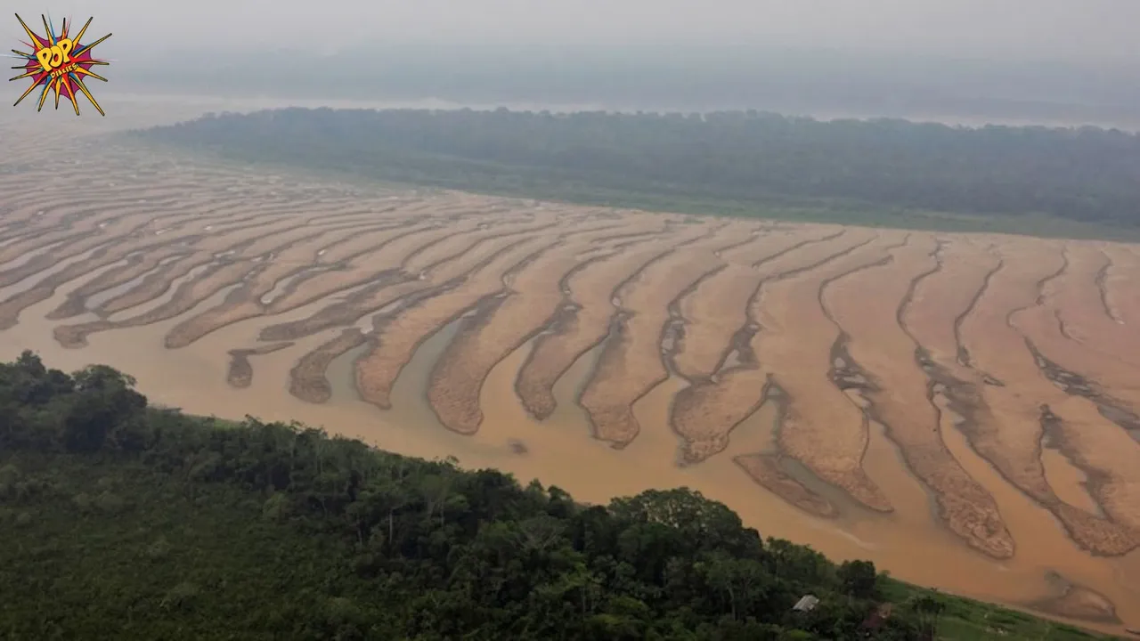 Amazon river