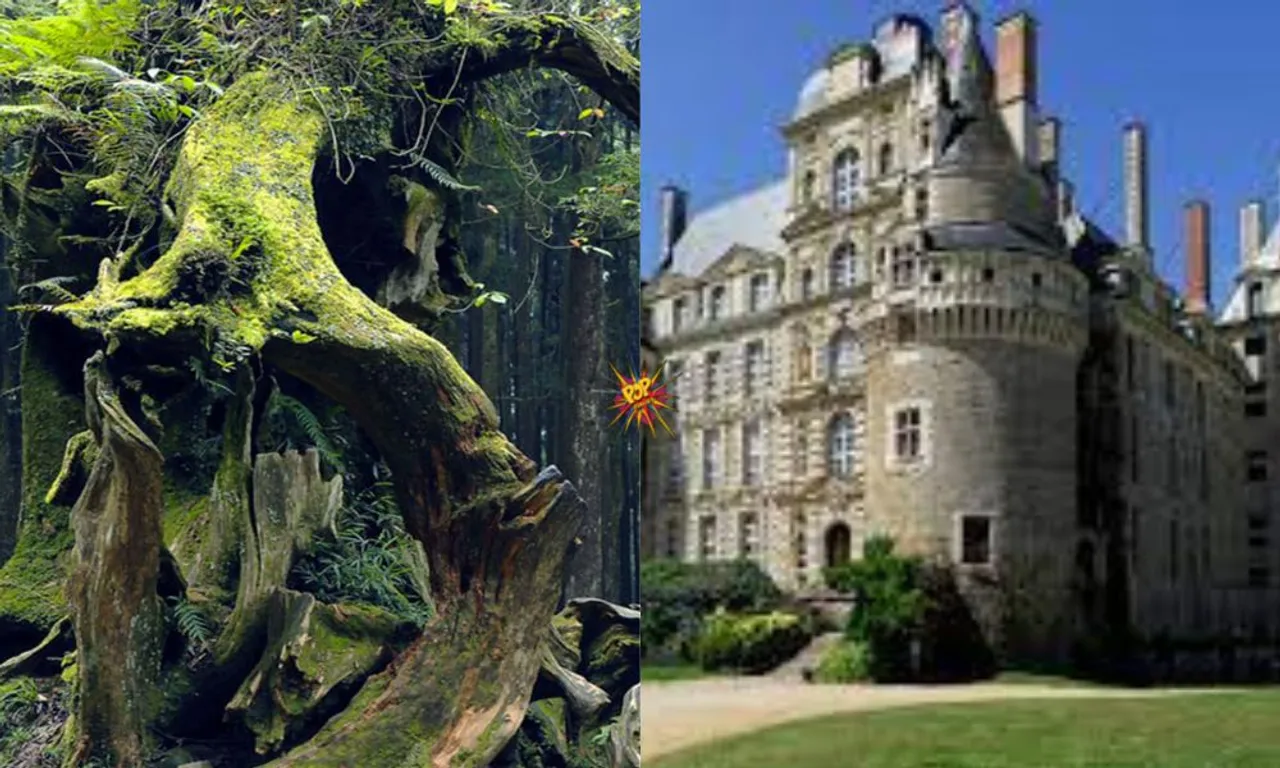 'These' Are The Five Most Haunted Places In The World Including One In India; Must Check!￼