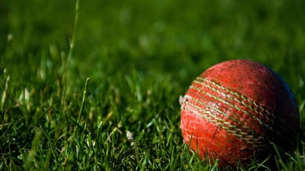 What is happening in the cricket world?