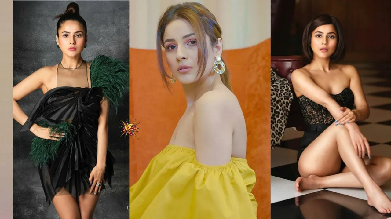 HBD Shehnaaz Gill: From Punjab Ki Katrina To India Ki Bubbly, Beautiful Shehnaaz! Know The Best Moments Of Her Journey An Inspiration:
