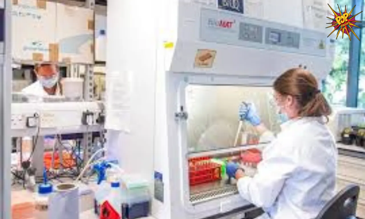 Needle-free vaccine patches coming soon, say, researchers and makers!! Click to read more!!