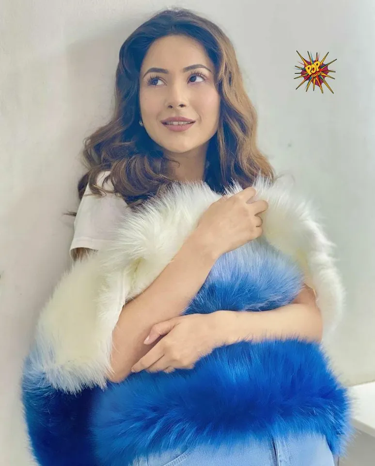 Shehnaaz Gill is a part of Netflix Playback 2021, actress shares 2 videos.