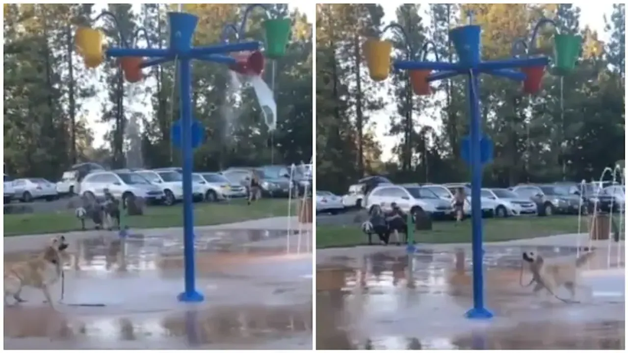 https://popdiaries.com/2022/06/02/women-doing-the-garba-on-treadmill-video-goes-viral-netizens-call-it-dangerous/