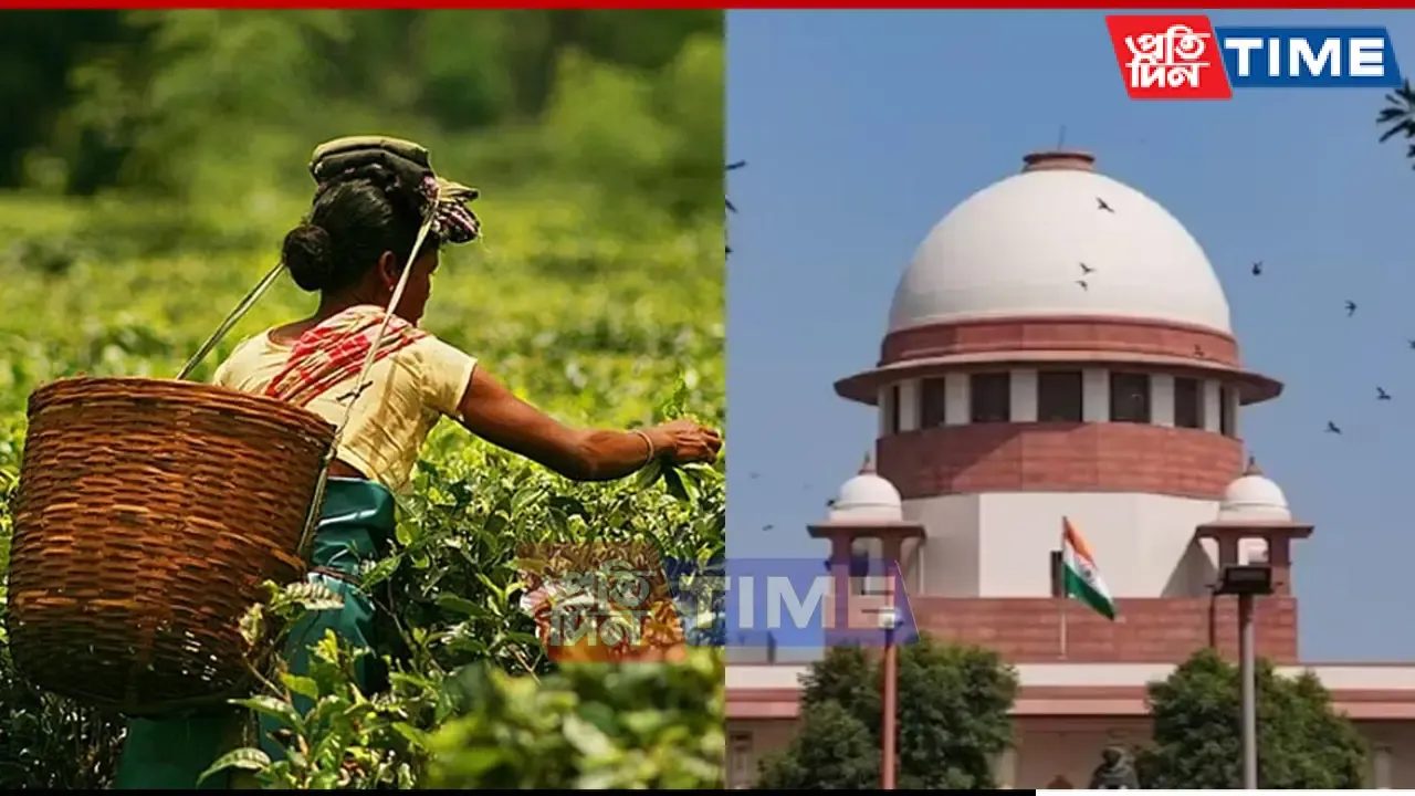 SC Directs Assam Tea Corporation Chairman To List Properties Owned