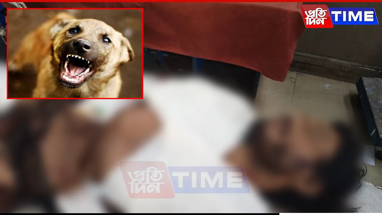 Dog Attack in jorhat