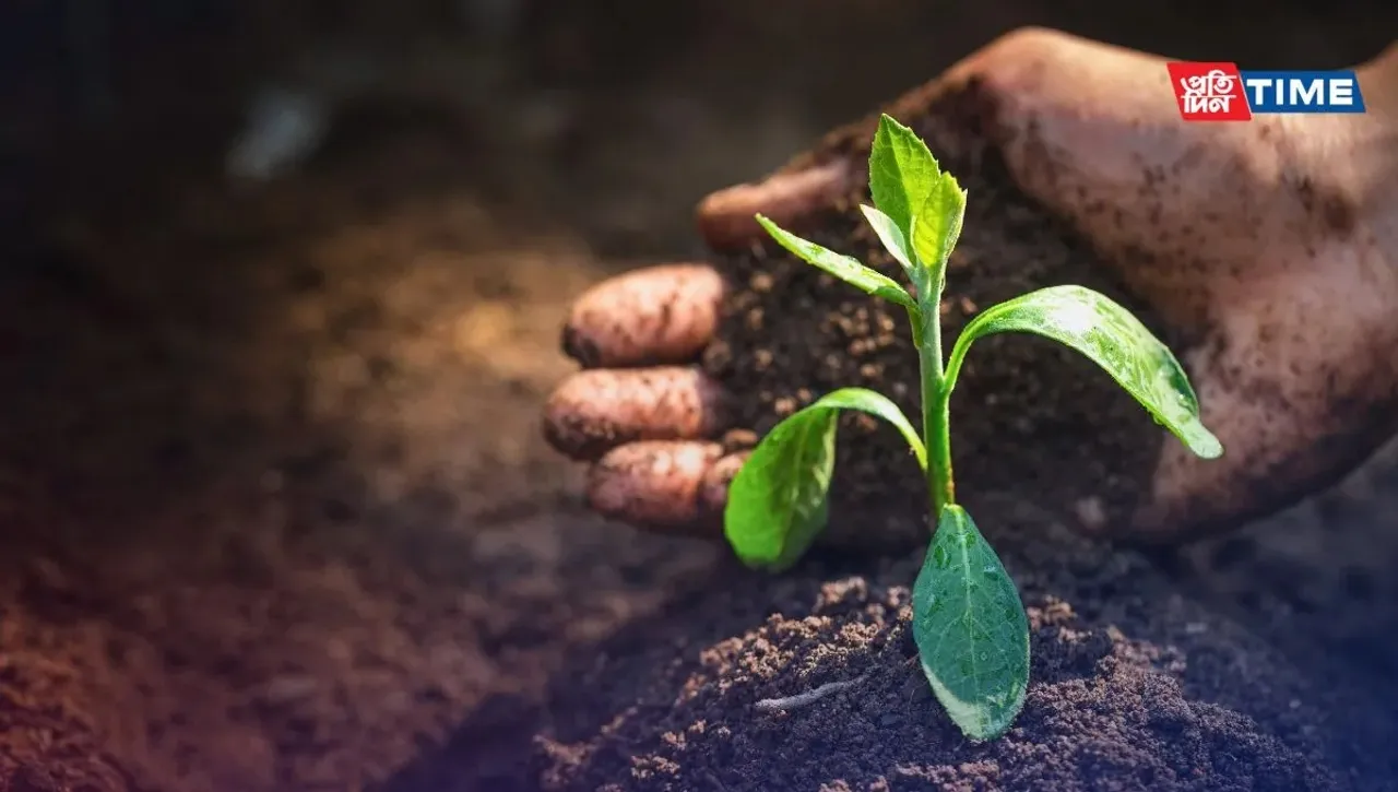 World Soil Day 2024: Date, History, Theme, Quotes, Speech