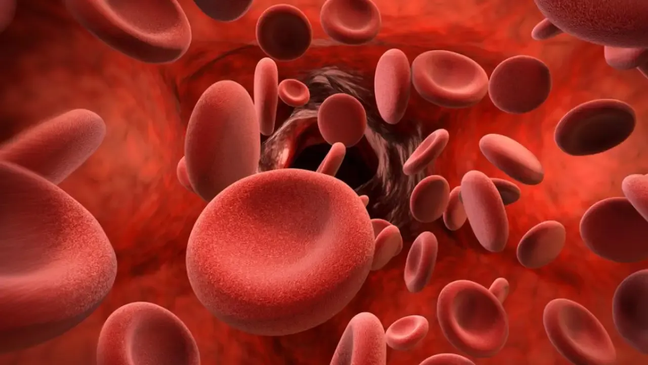 India Achieves Breakthrough In Hemophilia A Treatment