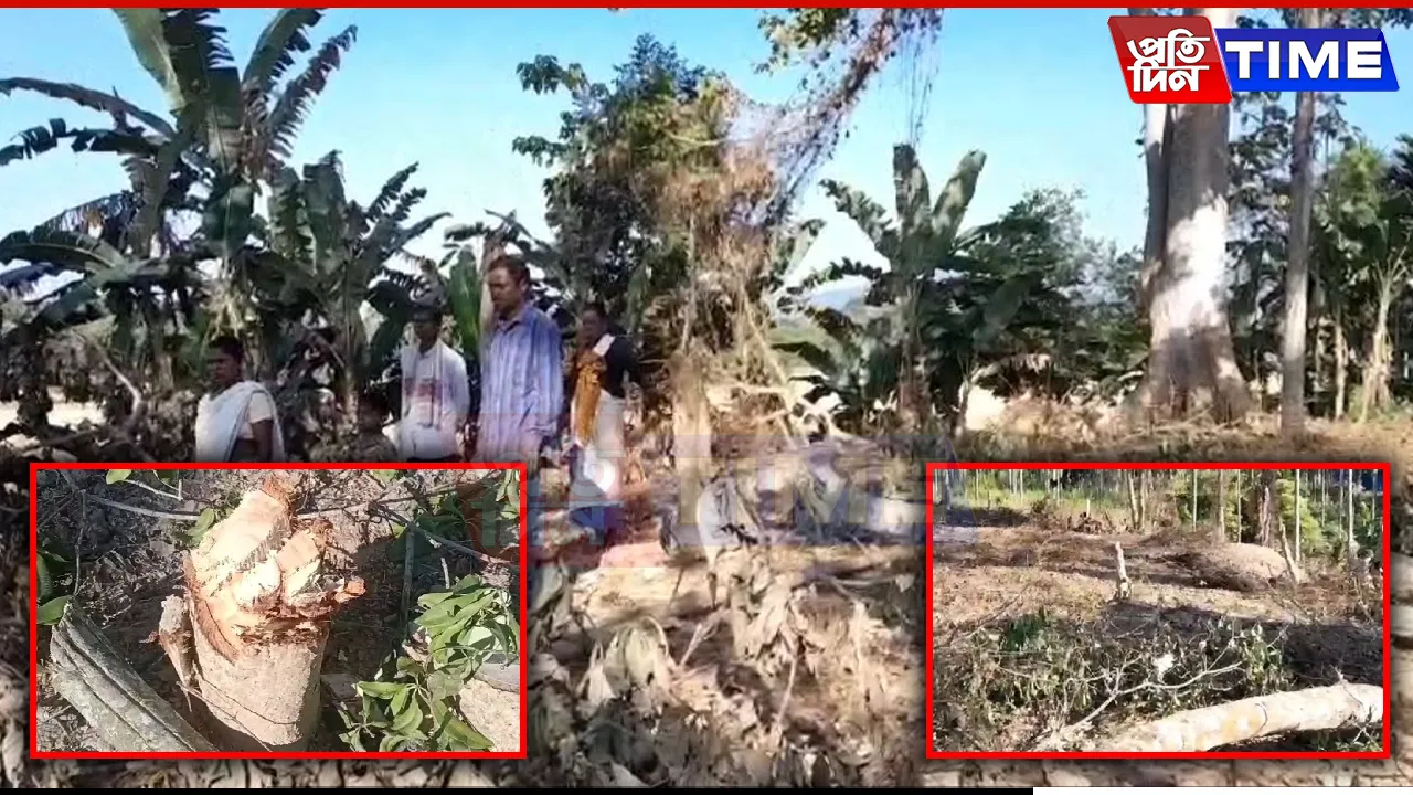 Merapani Along Assam-Nagaland Border Sees Surge In Naga Aggression