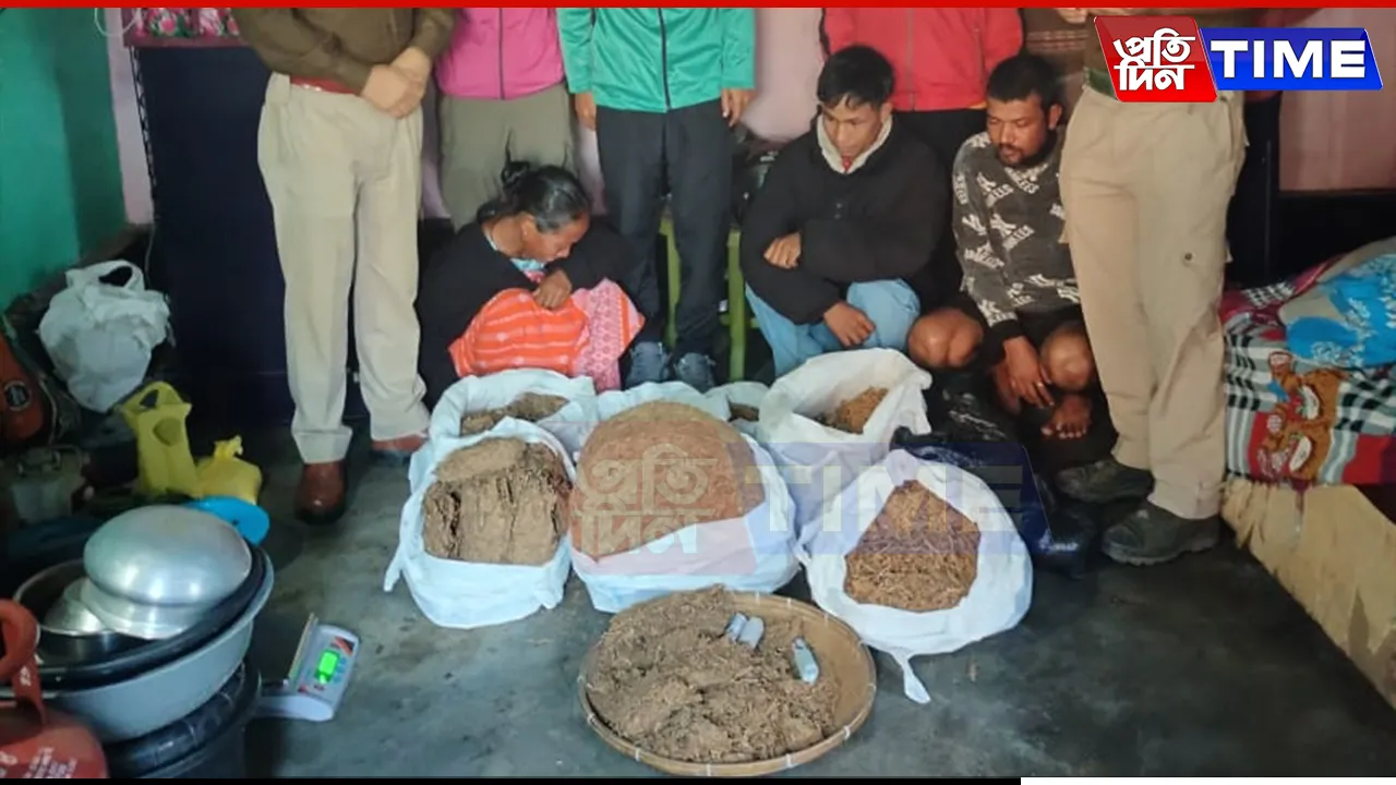 Cannabis seized in Guwahati