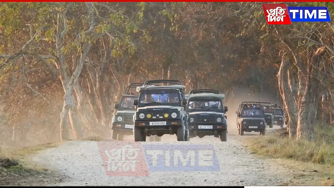 Tourists Fume as Kaziranga Safari Fares Soar Amid Peak Season Rush