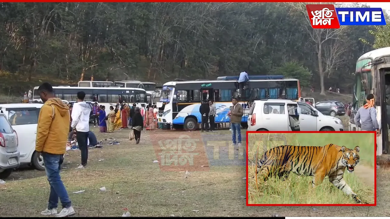 Tiger Fears Disrupt Picnic Plans in Nagaon’s Kaliabor