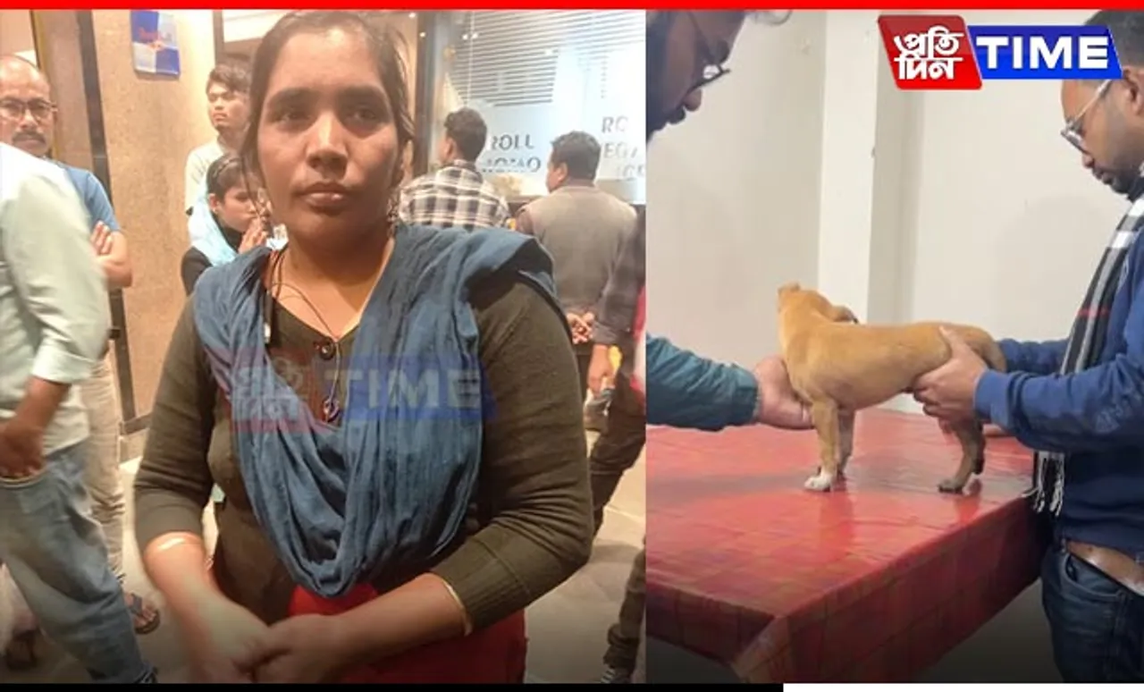 Guwahati: Dispur Dhaba Employee's Cruelty Leaves Puppy Severely Injured