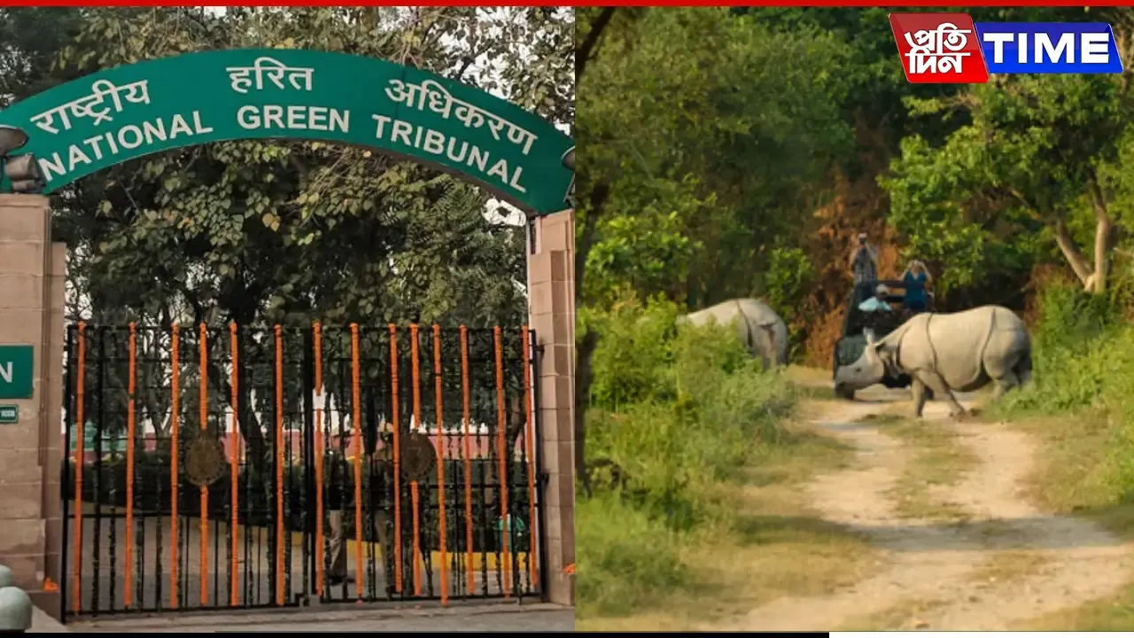 NGT Issues Notice To Centre Over Assam's Declining Forest Cover