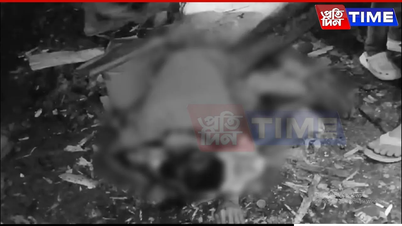 Mentally Disturbed Man Stabs Local to Death in Assam's Cachar