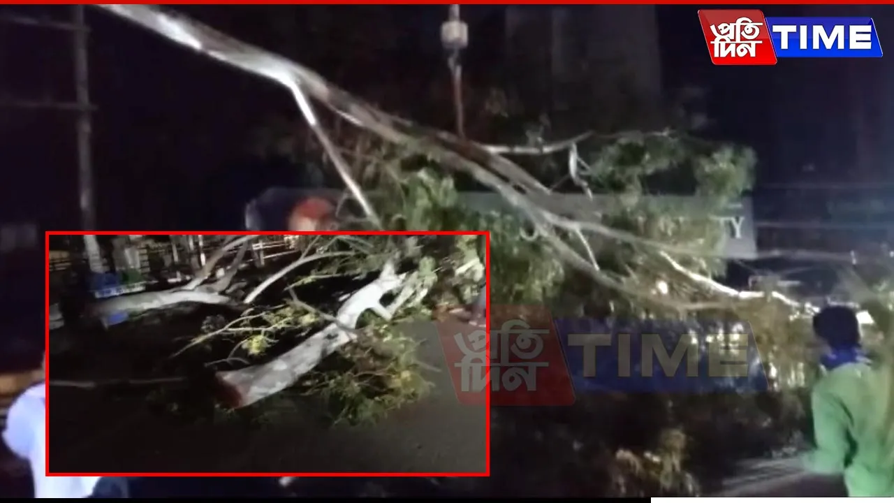 Guwahati: Rukminigaon’s Green Canopy Disappears Overnight for Flyover Expansion New