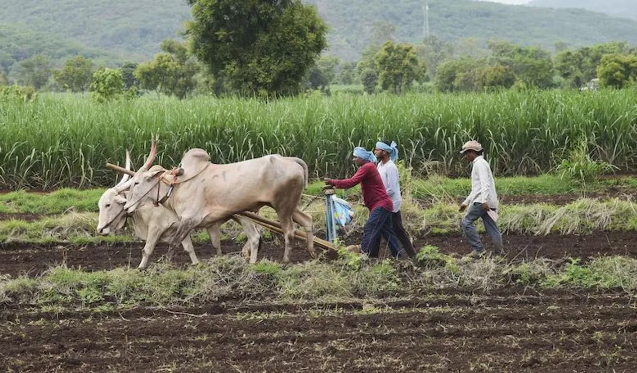 Retail Inflation Sees Marginal Decline For Farm And Rural Workers