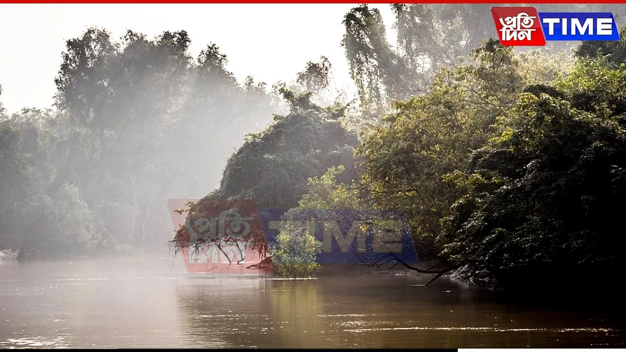 13,056 Sq Km of Forest Land Encroached Across 25 States, MP and Assam Worst Affected