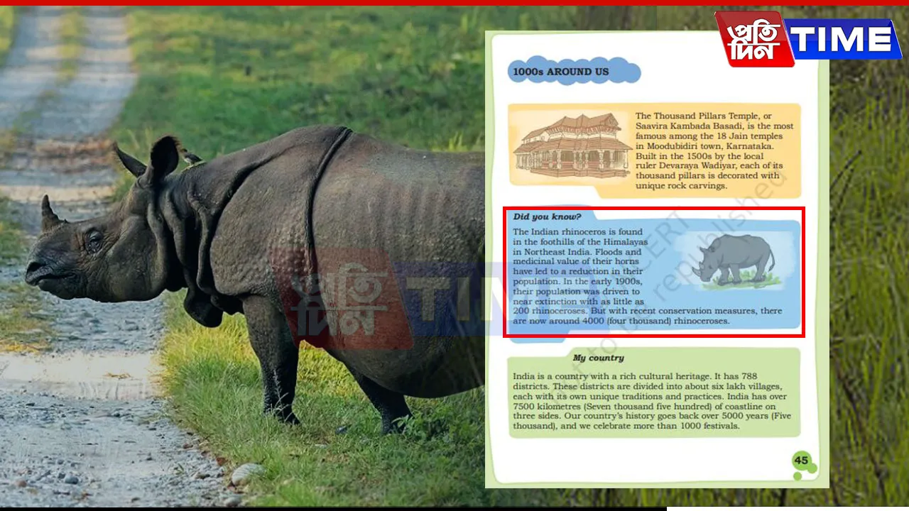Rhino Row Erupts Over NCERT Class 4 Maths Textbook: Two-Horned Blunder Sparks Outrage