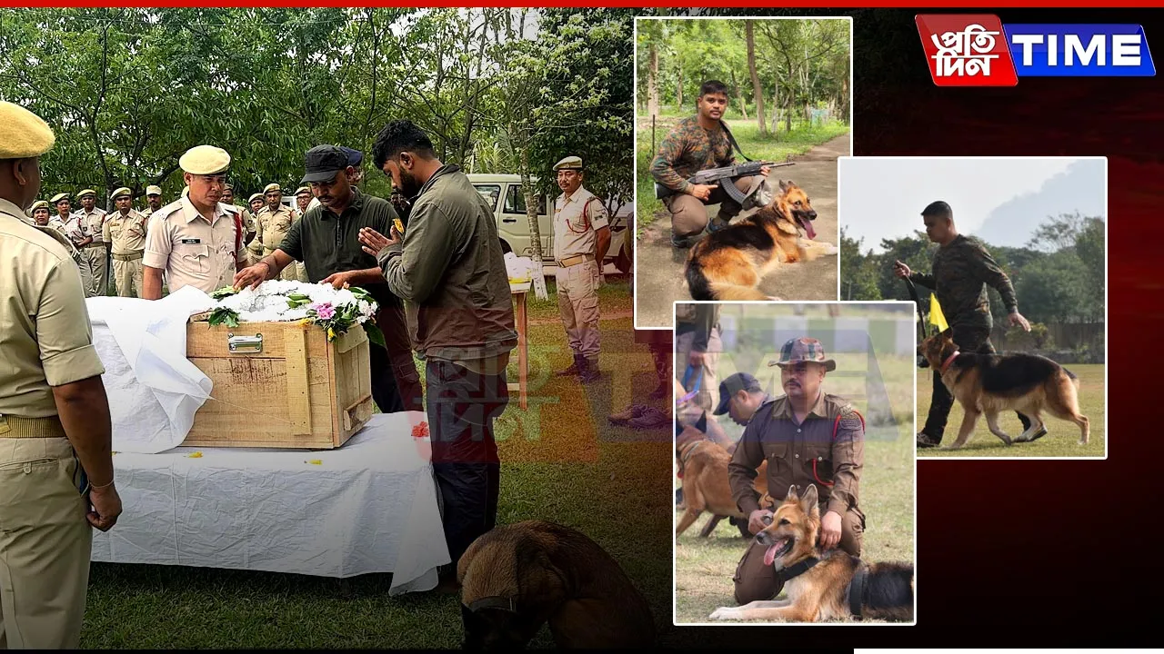 Kaziranga’s Beloved Sniffer Dog K9 Karina Passes Away After a Decade of Brave Service