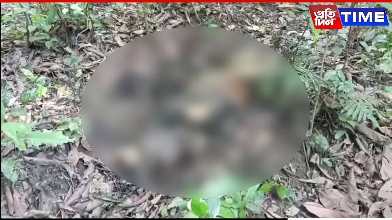 Tiger Carcass Found in Kaziranga National Park, Natural Death Suspected