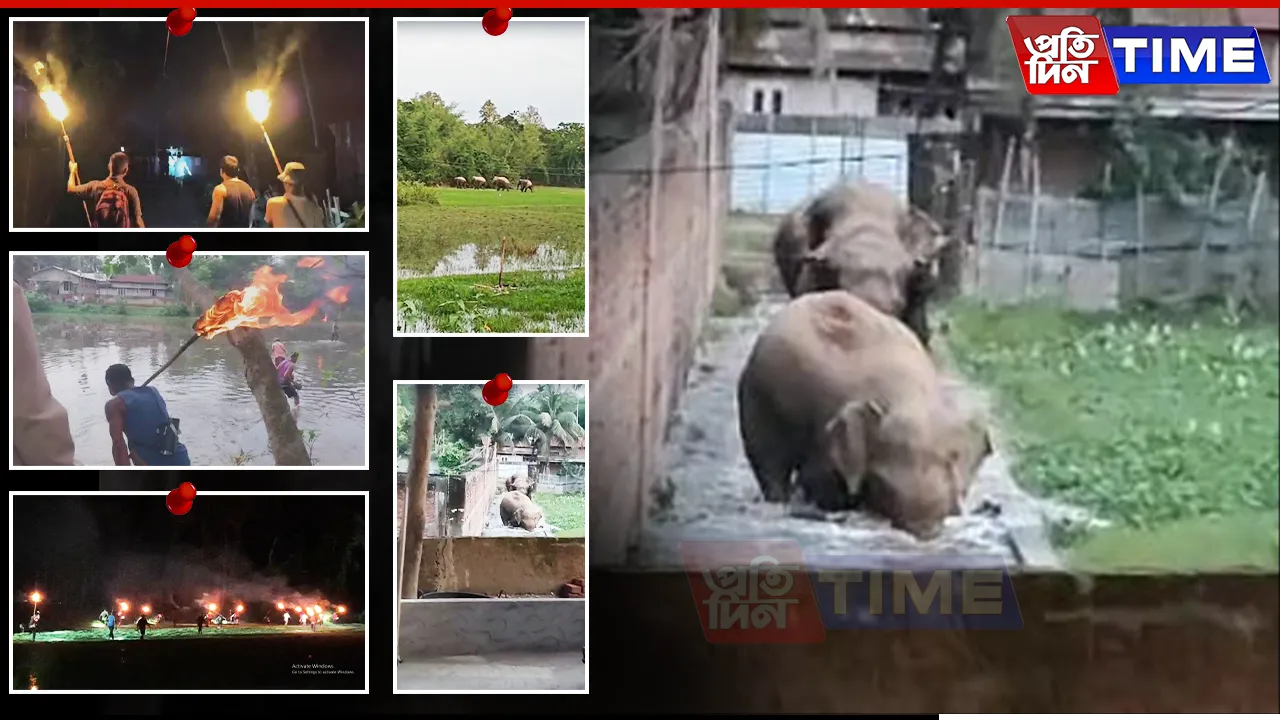 Forest Team Battles Harsh Terrain to End Elephant Threat in Assam’s Kamrup
