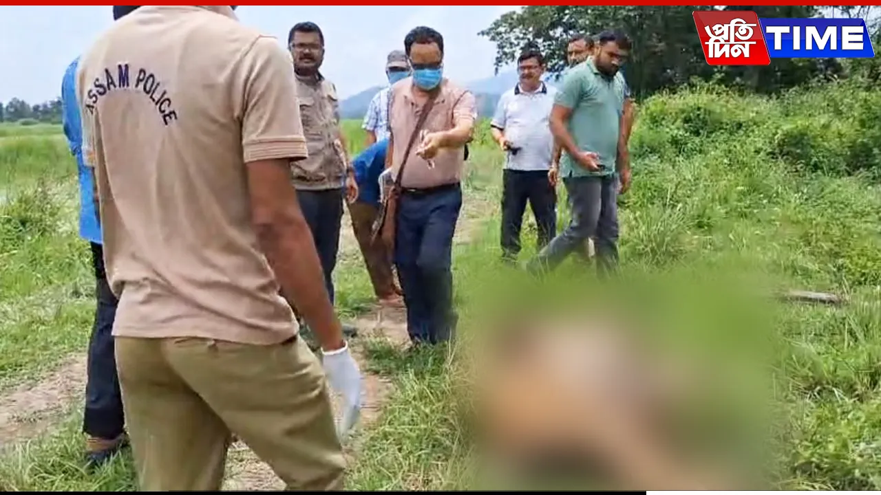 Young Male Tiger Dies in Kaziranga; Postmortem Confirms Fight Injuries