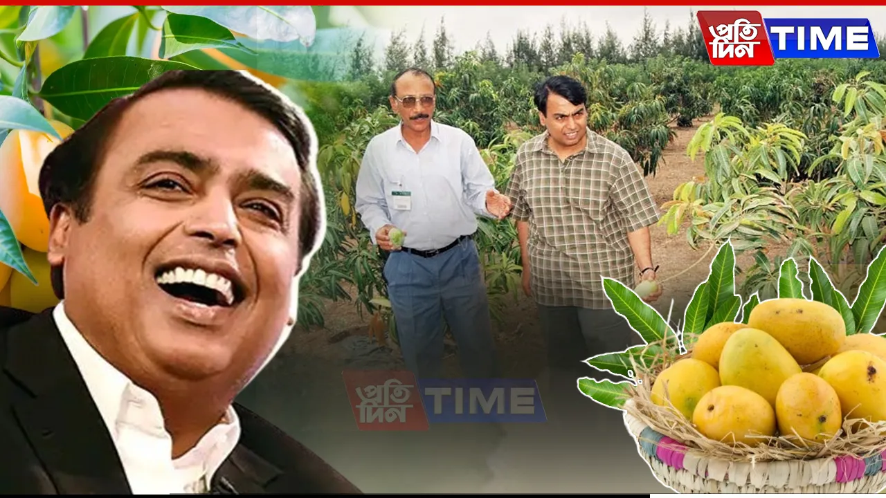 Ambani’s 600-Acre Mango Orchard in Jamnagar Exports Premium Varieties