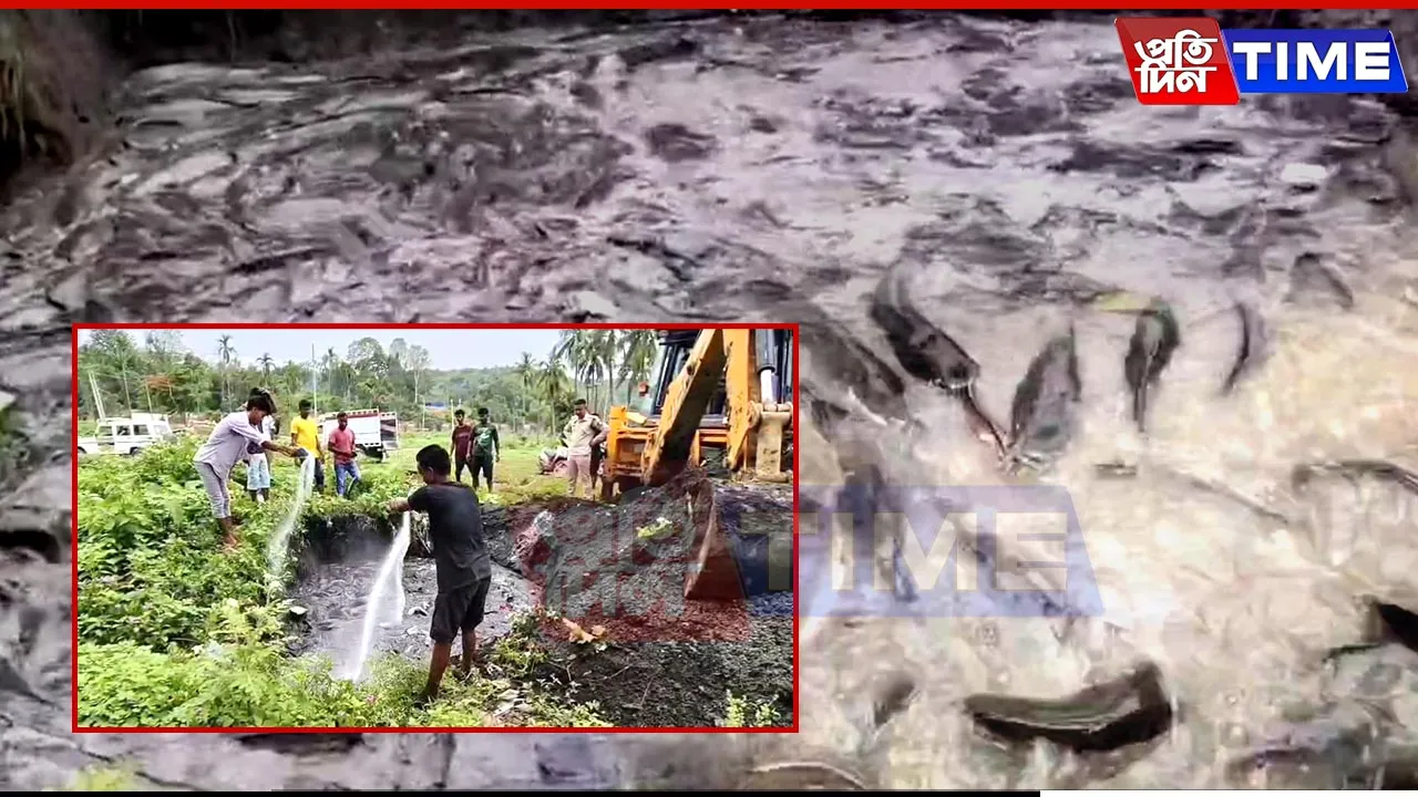 Assam Police Seize 23 Quintals of Banned 'Thai Magur' in Jagiroad